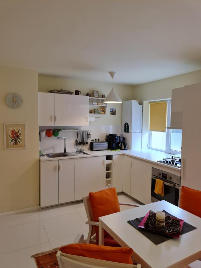 בוסטאני Apartamentul Alb מראה חיצוני תמונה