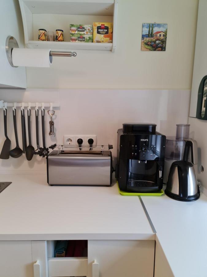 בוסטאני Apartamentul Alb מראה חיצוני תמונה