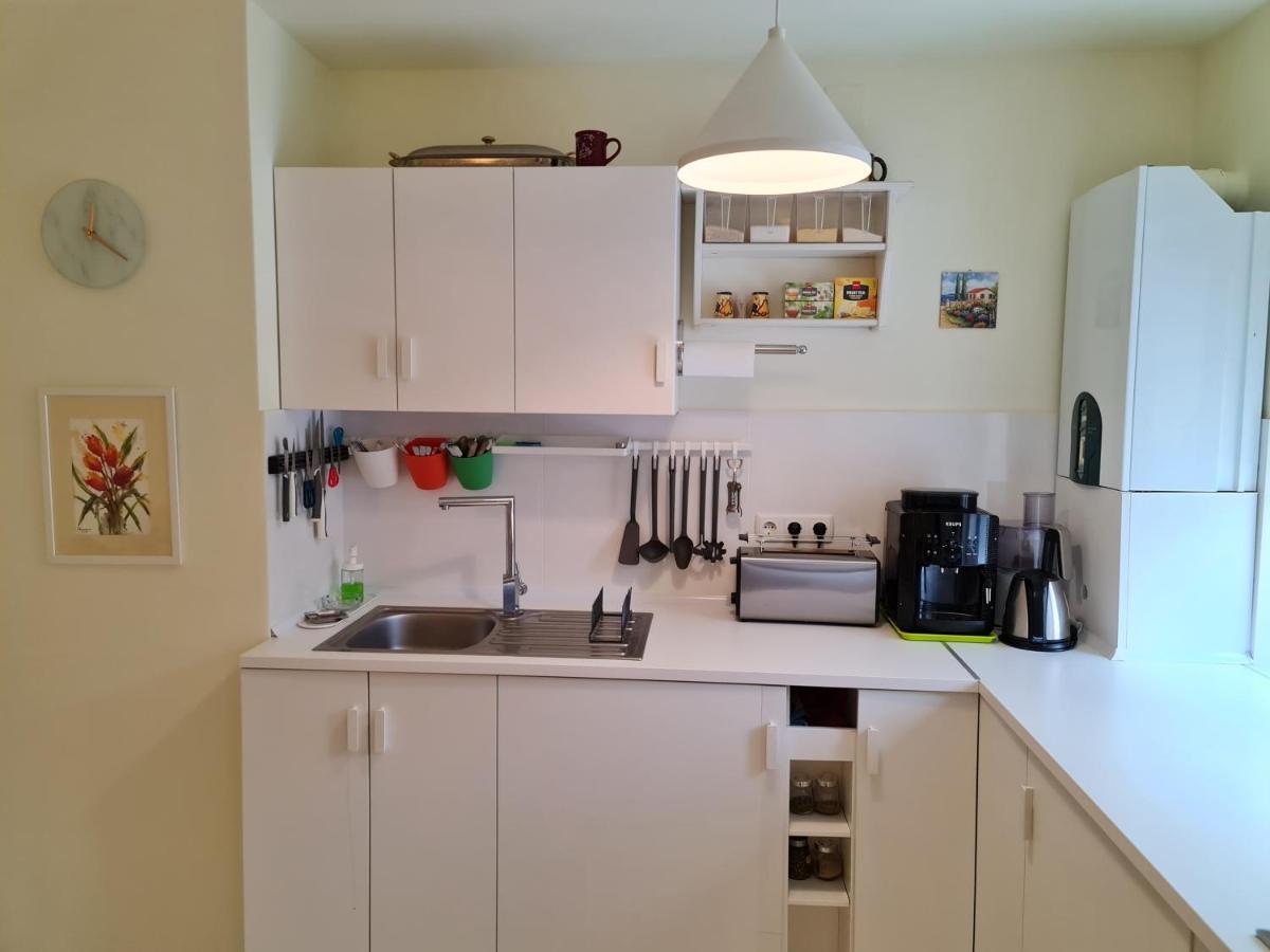 בוסטאני Apartamentul Alb מראה חיצוני תמונה