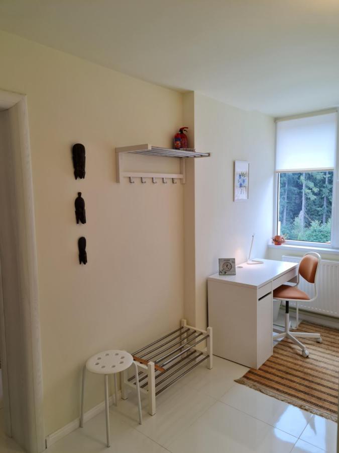 בוסטאני Apartamentul Alb מראה חיצוני תמונה