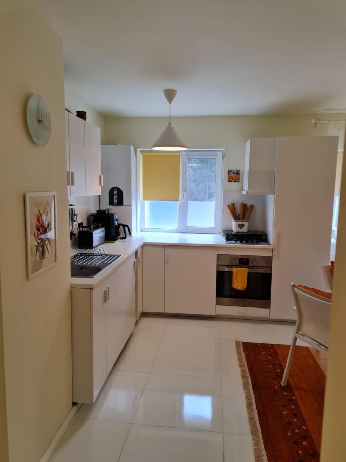 בוסטאני Apartamentul Alb מראה חיצוני תמונה