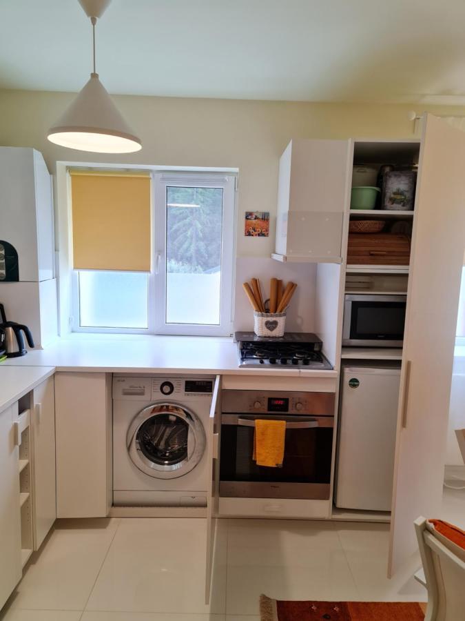 בוסטאני Apartamentul Alb מראה חיצוני תמונה
